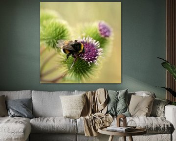 Makro einer Biene auf einer lila Distel von Marloes van Pareren