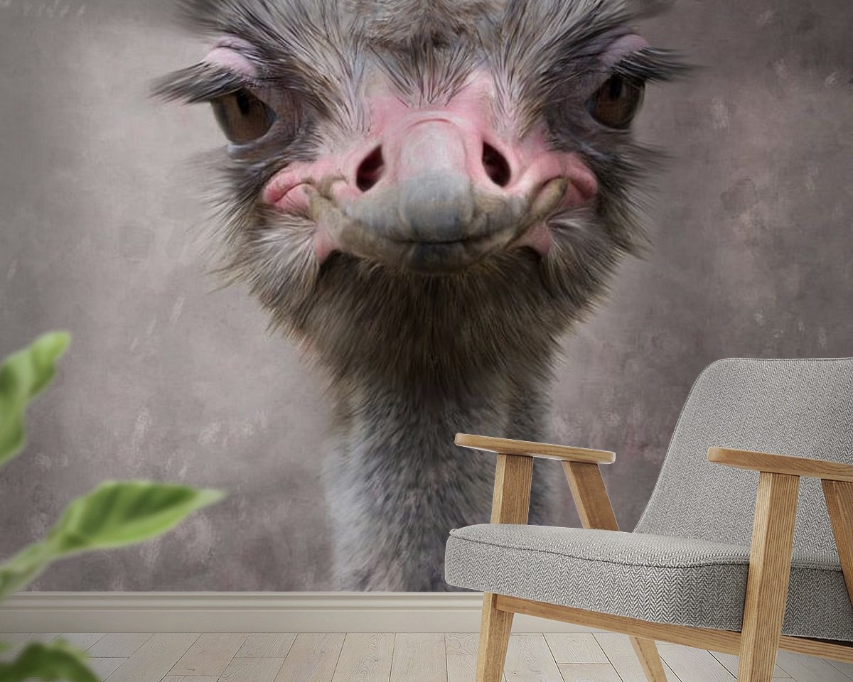 Raumvorschau
