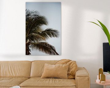 Tropische palm sfeer | Kleurrijke reisfotografie | Curaçao, Nederlandse Antillen van Trix Leeflang