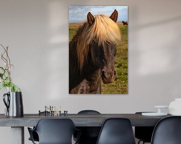 Paardenportret van Thomas Heitz