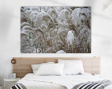 Grassen in de sneeuw van Berthold Werner