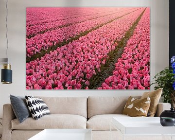 Endless field of tulips by Dirk-Jan Steehouwer