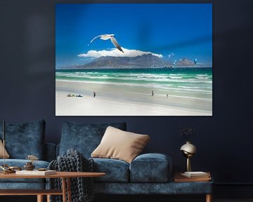 Meeuw en vliegers boven het strand van Bloubergstrand met Kaapstad en de tafelberg op de achtergrond van Teun Janssen