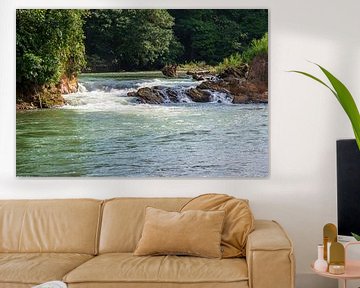 Sarapiquí River, Selva Verde, rainforest in Costa Rica by Mirjam Welleweerd