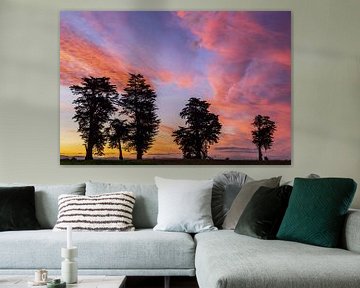 Roze wolken en silhouetten van bomen bij zonsondergang, Bay of Plenty, Nieuw Zeeland van Paul van Putten