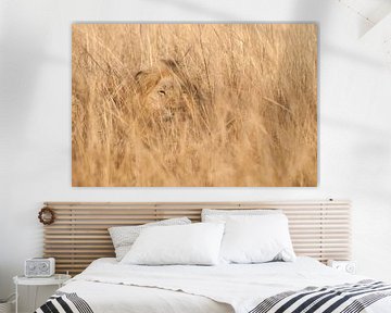 Lion en couverture. sur Rob Wareman Fotografie