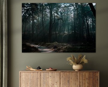 Walk through the forest by Patrick  van Dasler