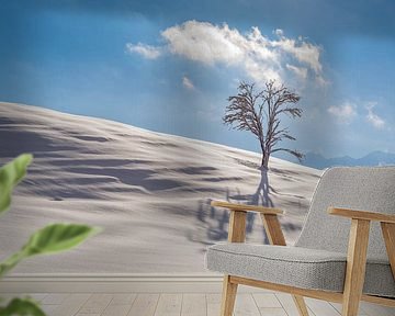 Naturlandschaft bei Füssen