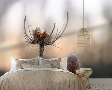 broken thistle