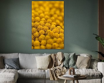 Yellow flower