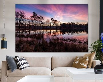 Mastbos 6 by Nuance Beeld
