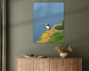 Papageientaucher auf einem Felsen mit Moos und Blumen in Látrabjarg, Island von Teun Janssen