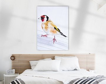 De Putter, vogel illustratie van Angela Peters