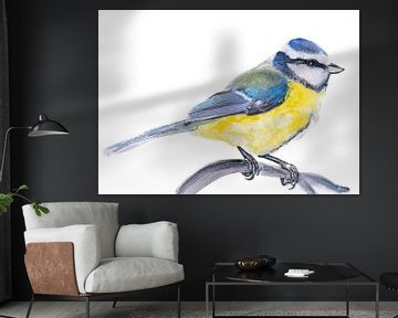 la Mésange bleue, illustration d'un oiseau sur Angela Peters