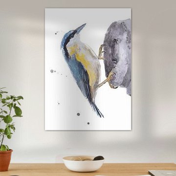 Der Kleiber Vogel Illustration von Angela Peters