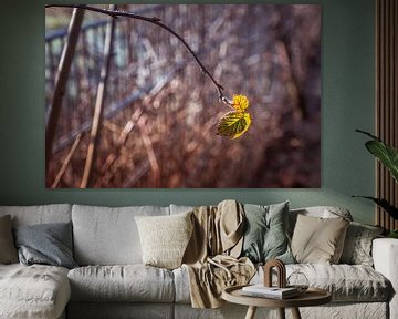 Blad aan een bramenstruik in de winter van Idema Media