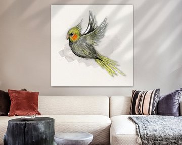 Aquarelle de cockatiel volant