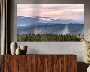 Bavarian Forest after a heavy rain.