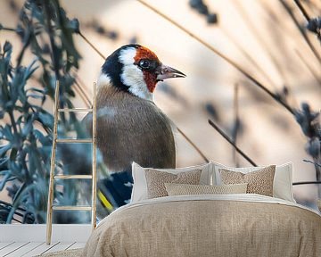 Putter (Distelvink) van Bert Kok