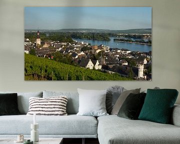 Altstadt mit Katholischer Parrkirche St. Jakobus, Rüdesheim am Rhein, Rheingau, Hessen, Deutschland von Torsten Krüger