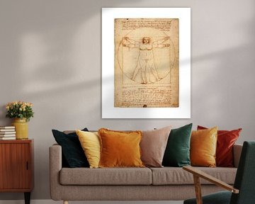 Dikke versie Vitruvius Leonardo Da Vinci van Peter Hermus