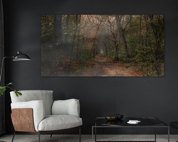 Panorama of the Berger forest by Martin van Lochem