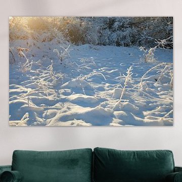 Winter landscape