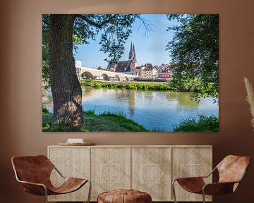 Skyline van Regensburg in de Opper-Palts van Animaflora PicsStock