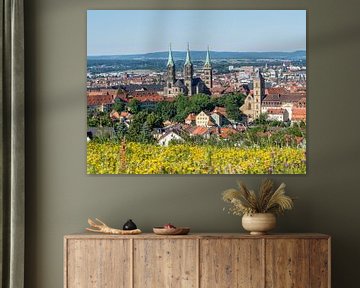 skyline van Bamberg in Beieren van Animaflora PicsStock