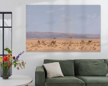 Camels in the Sahara desert (Erg Chegaga - Morocco) by Marcel Kerdijk