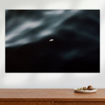 Une plume dans l'eau