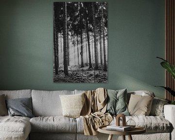 Zonnestralen door het bos bij Junne van Holly Klein Oonk