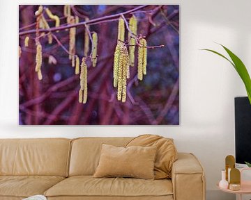 Lente Voorbeschouwing