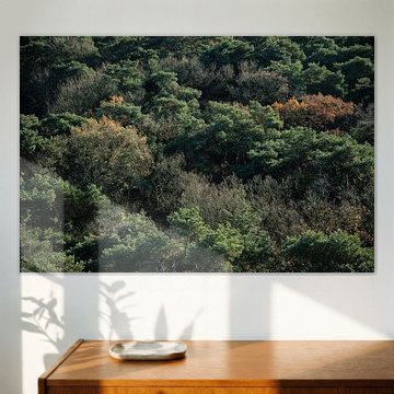 Netherlands from above, 2019