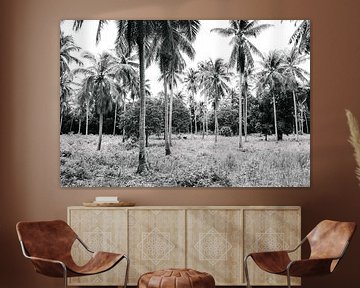 Palm trees (Palbomen in Thailand, black and white) van Quinten Tolboom