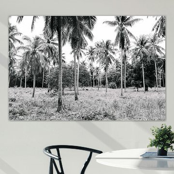 Palm trees (Palmen in Thailand, schwarz und weiß)