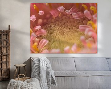 Gerbera Herz von Martijn Wit