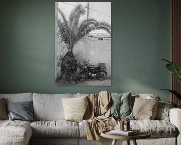 Motorfiets en palmboom in Marokko van Bianca Kramer