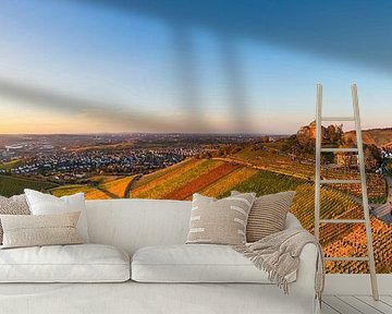 Aerial view vineyards and the grave chapel in Stuttgart by Werner Dieterich