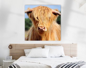 Hairy cow