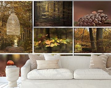 Herfst collage van John Leeninga
