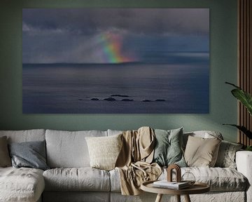 Kleurrijke regenboog boven de zee voor de kust van de Lofoten, Noorwegen van Timon Schneider