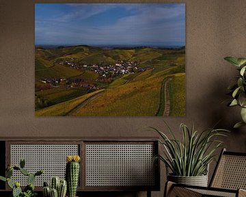 Uitzicht over de geel gekleurde wijngaarden van Durbach in de herfst van Timon Schneider