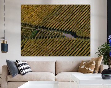 Kruising van een pad op een wijngaard met evenwijdige gele wijnstokken in de herfst van Timon Schneider