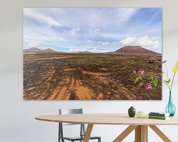 Volcanic landscape in the nature park of Corralejo (Parque Natural De Corralejo) on the Canary Islan by Reiner Conrad