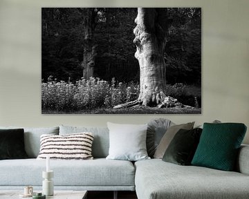 Un arbre de conte de fées en noir et blanc