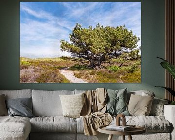 Promenade à travers les dunes de Schoorl sur Evelien Oerlemans