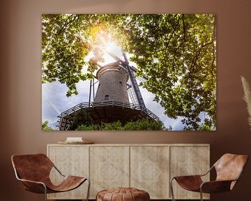 Molen  in Alkmaar omringd door bomen van Evelien Oerlemans