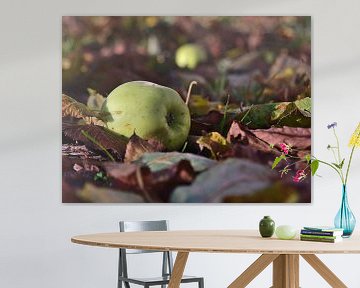 A ripe green apple lies on the ground between discolored leaves by Timon Schneider