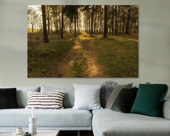 Aperçu de la chambre